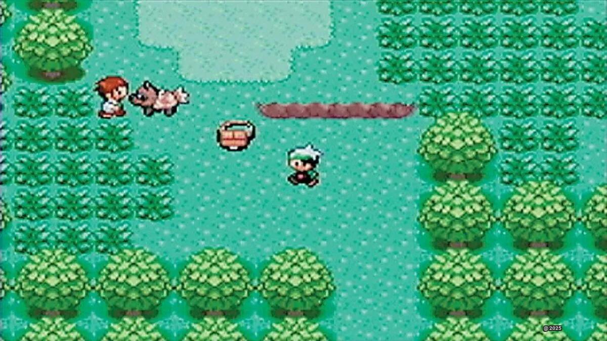 Pokemon Gamma Emerald